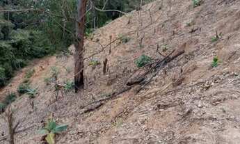 Imagem 5: Vendo sitio em paraju