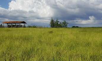 Imagem 2: Granja em terreno de 55.000 m2, com 02 casas e barracão - Quadra - SP