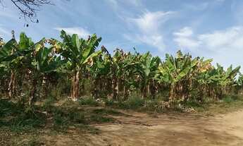 Imagem 2: Vendo Terreno Produtivo de 24,65Ha e Casa Sede Alto Padrão