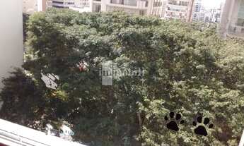 Imagem 6: CORAÇÃO DE PERDIZES