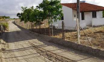 Imagem 2: Vende-se Sítio em vajarda de cima município de Passira PE