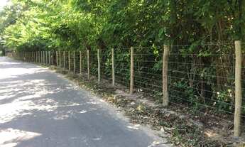 Imagem 7: Sítio para Venda em Angra dos Reis, Santa Rita do Bracuí (Cunhambebe