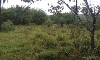 Imagem: Terreno plano e com muita água Mateus Leme