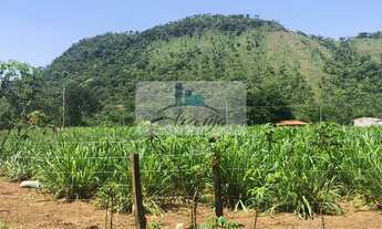 Imagem 6: Palmas - Chácara - Taquarussu