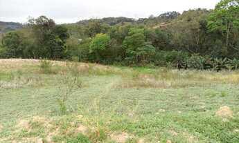 Imagem 3: Terreno 5.900m2 lamenha pequena - Curitiba