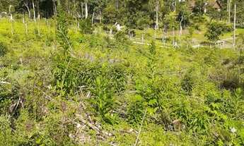 Imagem 7: Excelente chacara com 23.000 m2 Curralinho 550.000