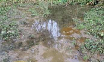 Imagem 7: Sítio para Venda em Piracaia, Caras, 2 dormitórios, 1 banheiro
