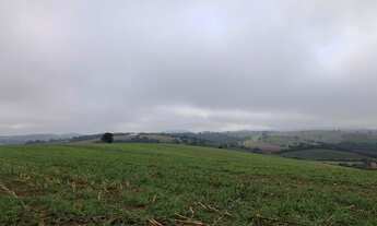 Imagem 3: VENDO FAZENDA REGIAO DE POUSO ALEGRE (6178