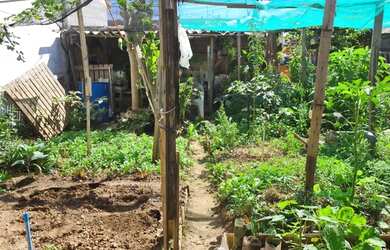 Imagem 2: Terreno Jardim Santa Cruz