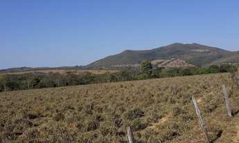 Imagem 3: Fazenda a venda em Uruana - GO