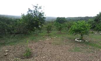 Imagem: Chácara 20.000 m2 Condomínio Cachoeira