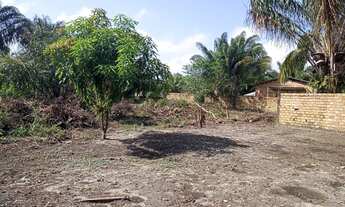 Imagem 4: Casa no cotijuba