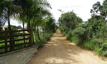 Imagem 6: Lindo Sítio 20.000m² pesqueiro, acabamento de primeira, oportunidade!