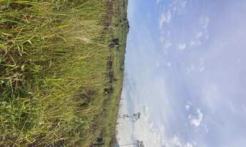 Imagem 5: R5- Conheça já Imóvel para venda possui 600 metros quadrados em Centro - Mairiporã - São P