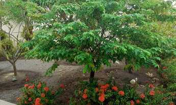 Imagem 2: Casa Solta com 4 Suítes na Coroa do Meio