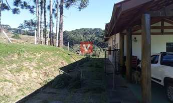 Imagem 2: Fazenda/Sítio/Chácara para venda tem 55000 metros quadrados com 3 quartos