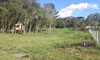 Imagem 6: Chácara à venda, 2300 m² por R$ 200.000,00 - Zona Rural - Tijucas do Sul/PR