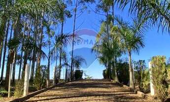 Imagem 5: Chácara com 4 dormitórios à venda, 36300 m² por R$ 950.000 - Colônia Muquilão - Roncador/P