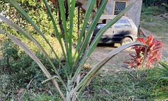 Imagem: São Lourenço da Serra - Chácara - Barrinha