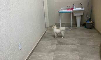 Imagem 7: Apartamento 70m² com área privativa em ótima localização bairro Buritis