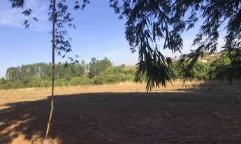 Imagem 5: Venda - Chácara - Centro - Novais - SP