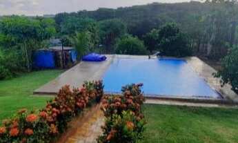 Imagem 5: Chácara com corrego no fundo