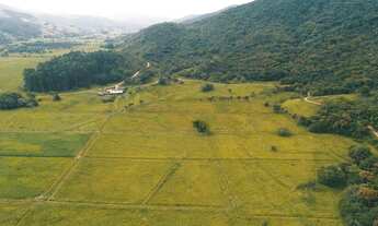 Imagem 3: Fazenda com 204 HA à venda em Penha, Paulo Lopes