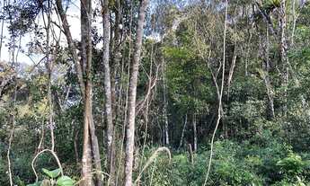 Imagem 4: São Lourenço da Serra - Terreno Padrão - Despésio