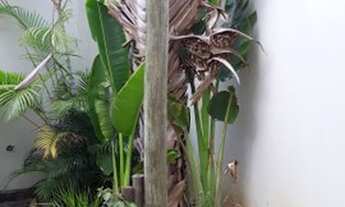 Imagem 2: Sobrado para venda com 270 metros quadrados com 4 quartos em Jardim Regente - Indaiatuba