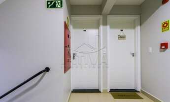 Imagem 5: Toledo - Apartamento - Jardim Pancera