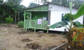 Imagem 9: Sítio KM 19 de Novo Ayrão, 20 minutos do Município de Manacapuru