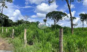 Imagem 2: Fazenda ótima para pecuária