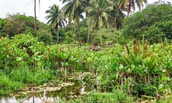 Imagem 3: Breve Lançamento Mirante Paracuru Loteamento fechado com ampla area de lazer#007