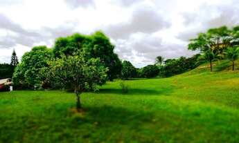 Imagem 2: Encontro das Águas