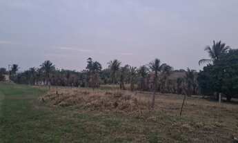 Imagem 5: Oportunidade vendo Sitio Frente para Rodovia à 35km de Marilia 3.2 Alqueires