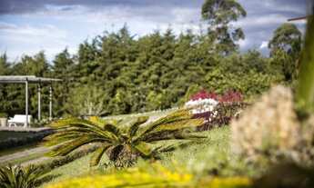 Imagem 3: Terreno para Venda em Teresópolis, Fazenda Suiça