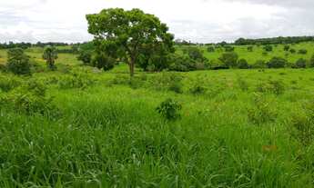 Imagem 3: Chacara em Mairipotaba com represa a 80 km de Goiânia chacaras 2 hectares aceito carro