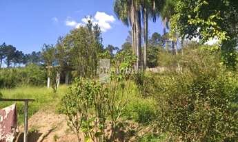 Imagem 4: CHÁCARA PRÓXIMO A ROSELÂNDIA