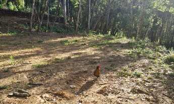 Imagem 5: Oportunidade única. 20.000m2 348.520