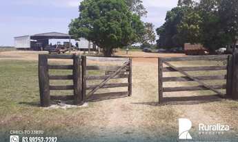 Imagem 2: Fazenda em exploração agrícola na região do Vale do Araguaia TO