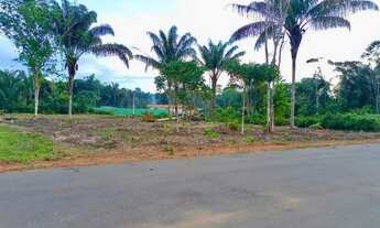 Imagem 4: Chácaras Rio Negro, lotes 3.000 m2, excelentes preço e transferência