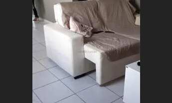 Imagem 5: Excelente Casa no Jardim Imperial