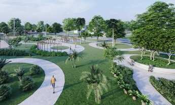 Imagem 3: Bouganville - Repasse Lote Comercial