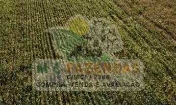 Imagem 4: Fazenda à Venda em Jeremoabo - BA | 1.424 Hectares