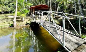 Imagem: VENDE EXCELENTE CHACARA