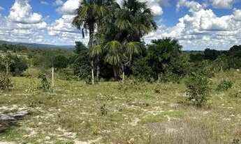 Imagem 6: Fazenda 27 alqueire
