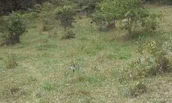 Imagem 4: Excelente chacara