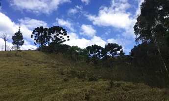 Imagem: SÍTIO NO SUL DE MINAS GERAIS
