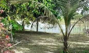 Imagem 2: Chacara no bujari