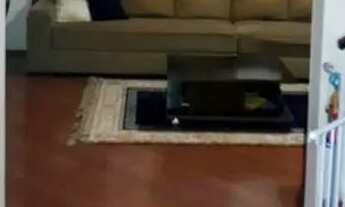 Imagem 7: Casa com 3 dormitórios, sala ampla para 2 ambientes, 2 banheiros, 2 vagas de garagem